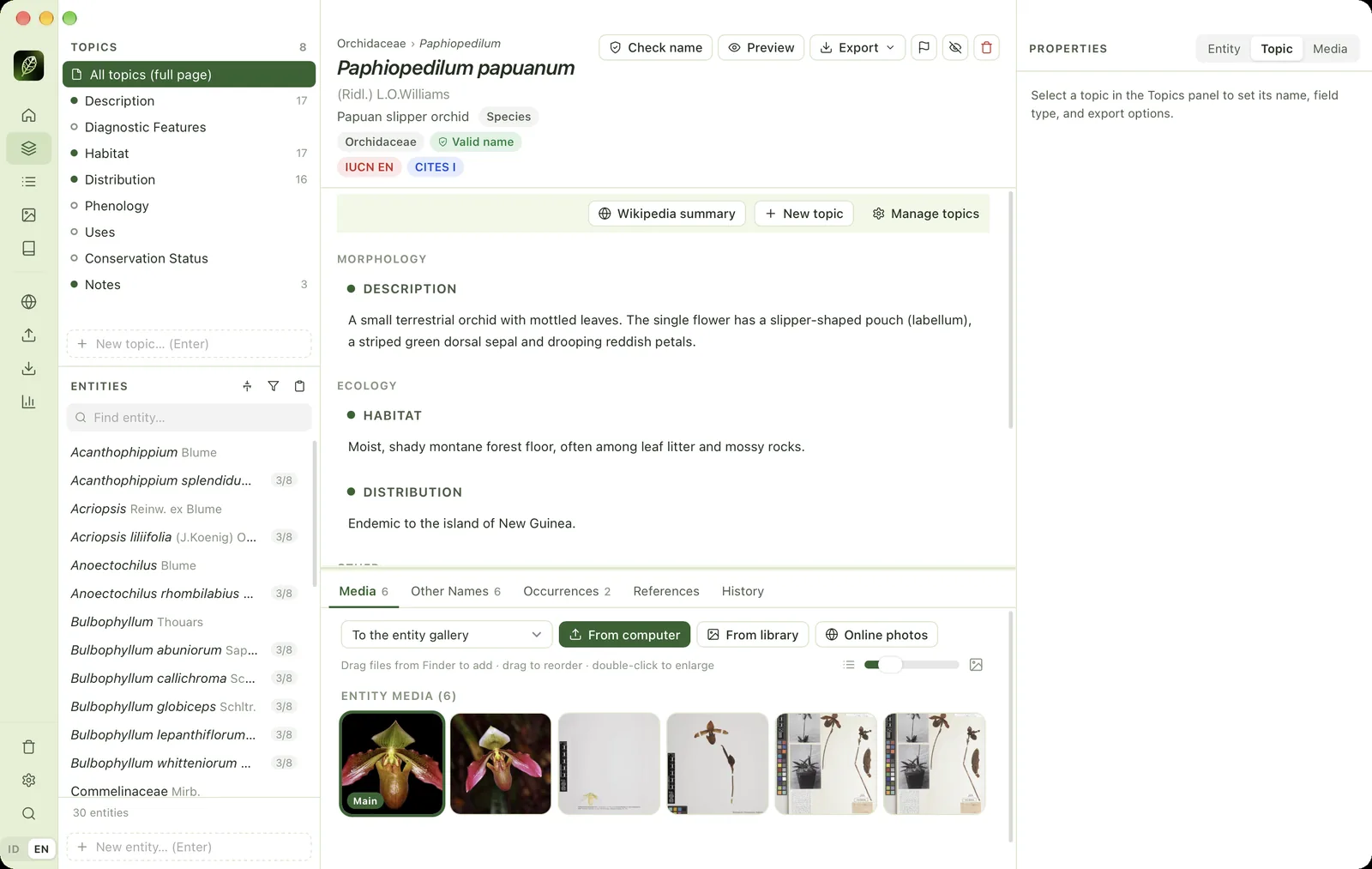 Full-page view