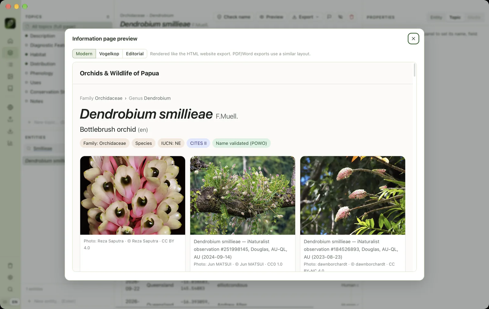 Information page preview
